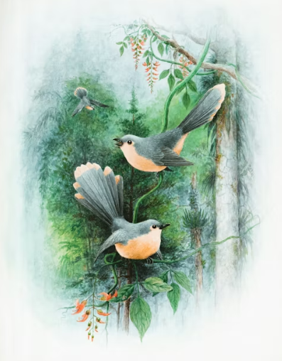 screenshot 2025 12 17 134730