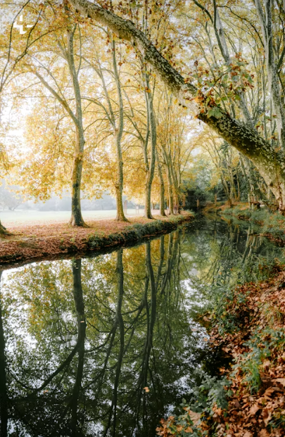 screenshot 2025 12 17 171957