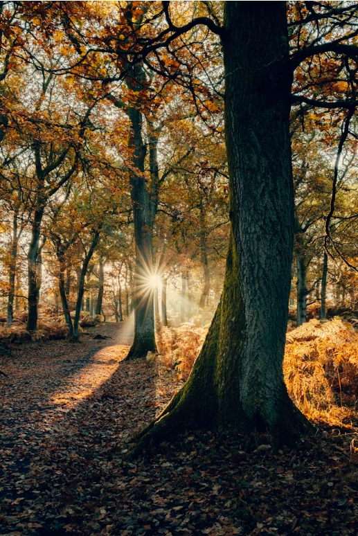 screenshot 2025 12 17 173952